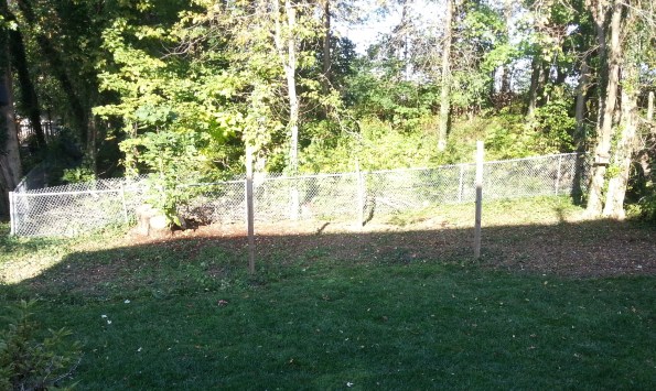 Image of current landscape to be designed--bare dirt areas pictured were formerly full of brush