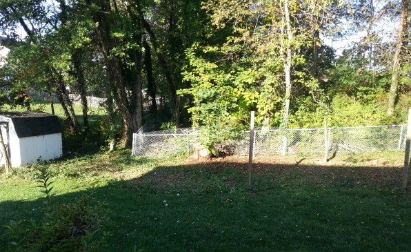 Image of current landscape to be designed--bare dirt areas pictured were formerly full of brush