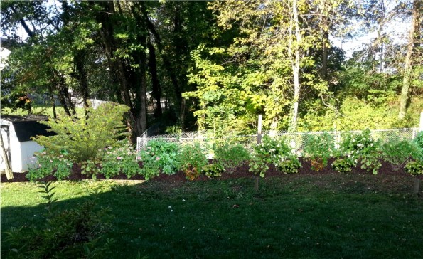 Digital rendering created with Realtime Landscaping Photo software