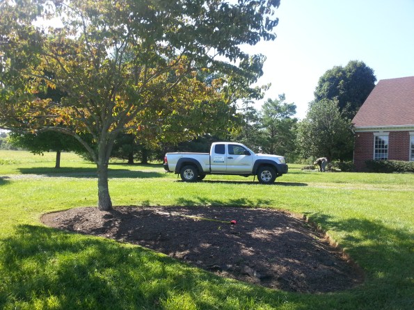 Image of current landscape to be re-designed