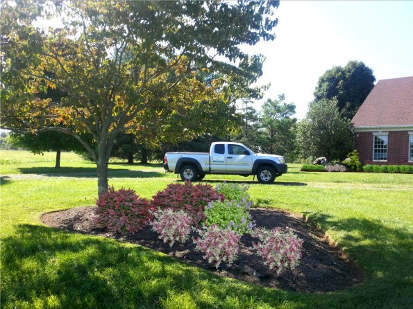 Digital rendering created with Realtime Landscaping Photo software