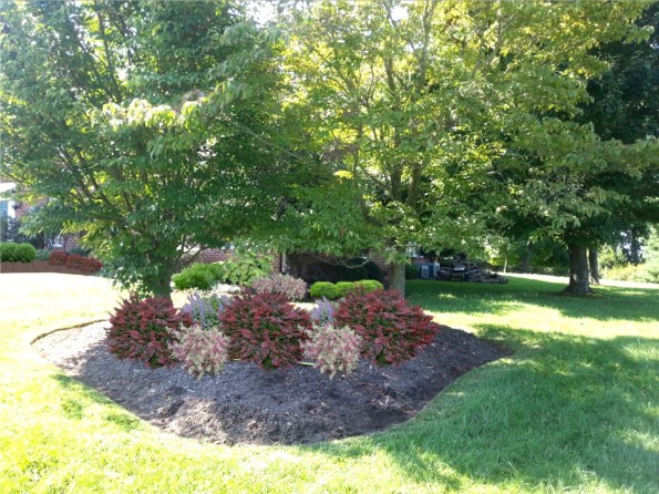 Digital rendering created with Realtime Landscaping Photo software