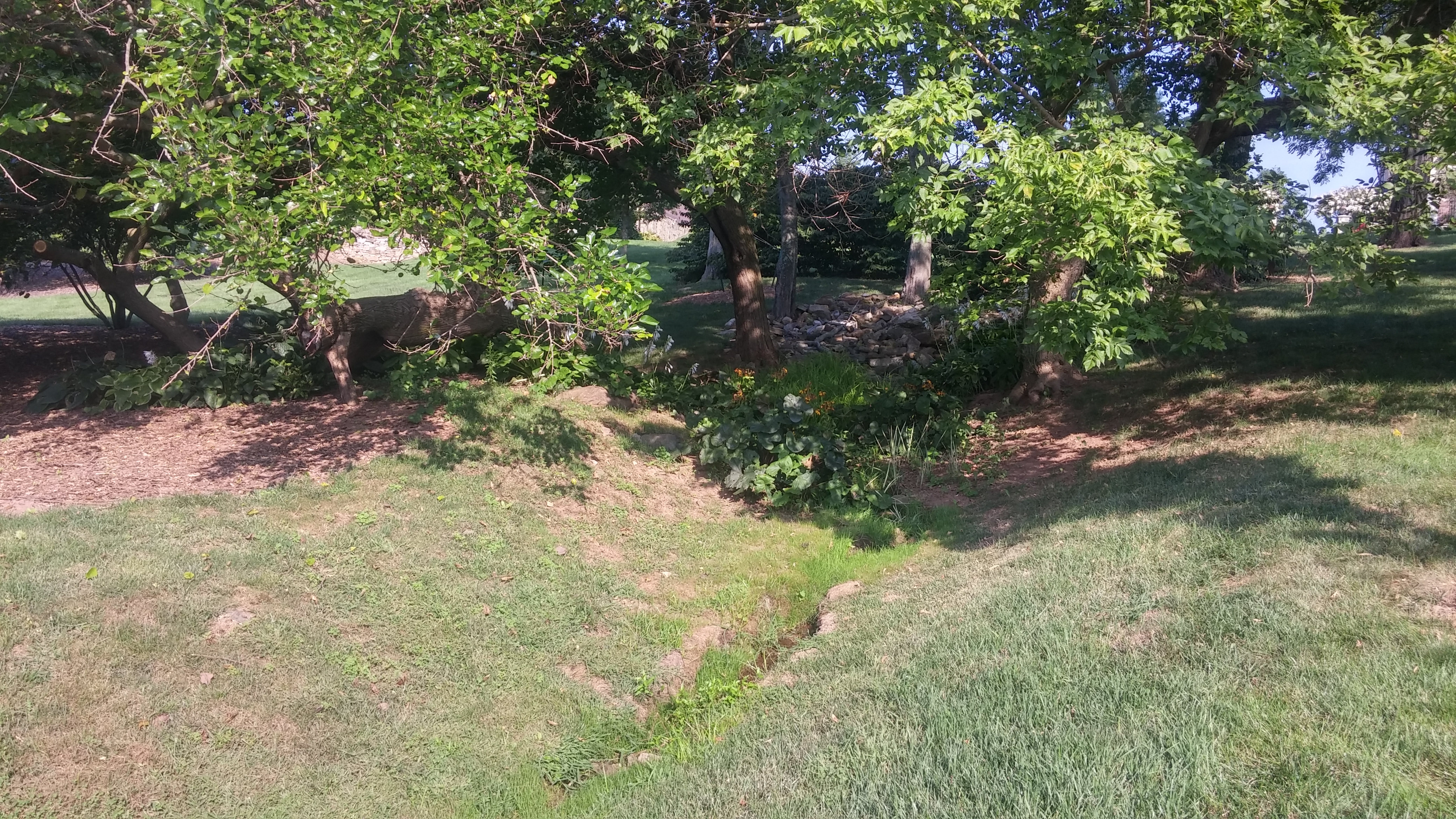 Dry stream bed: before 1