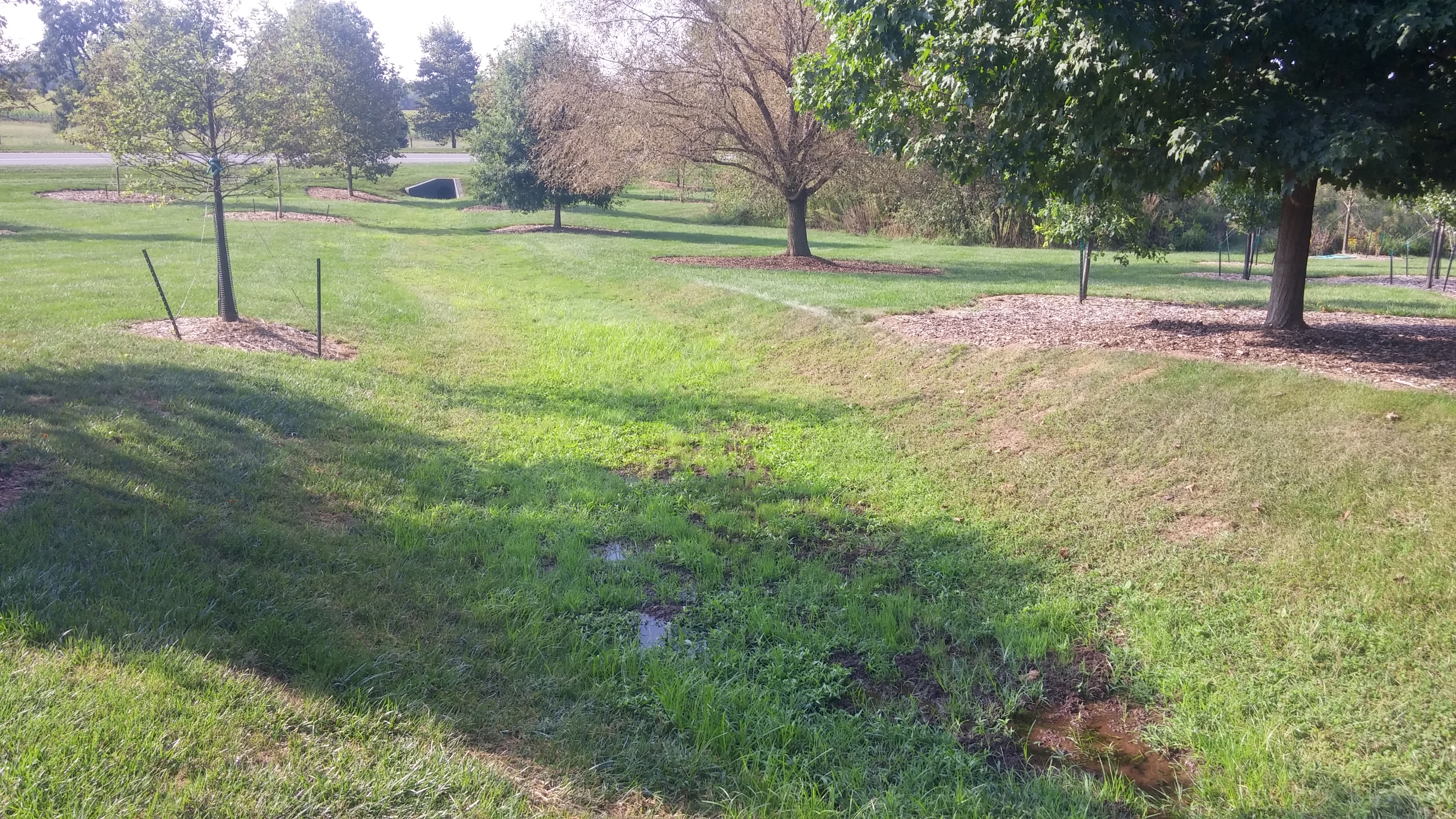 Dry stream bed: before 2