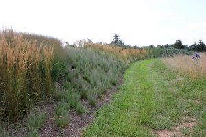 Earth sculpture: after 3