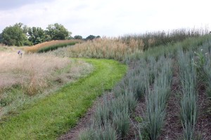 Earth sculpture: after 1