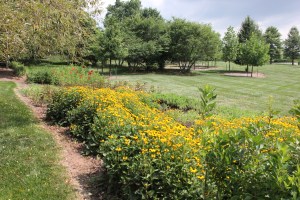 Dry stream bed: after 6