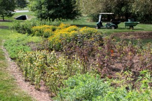Dry stream bed: after 3