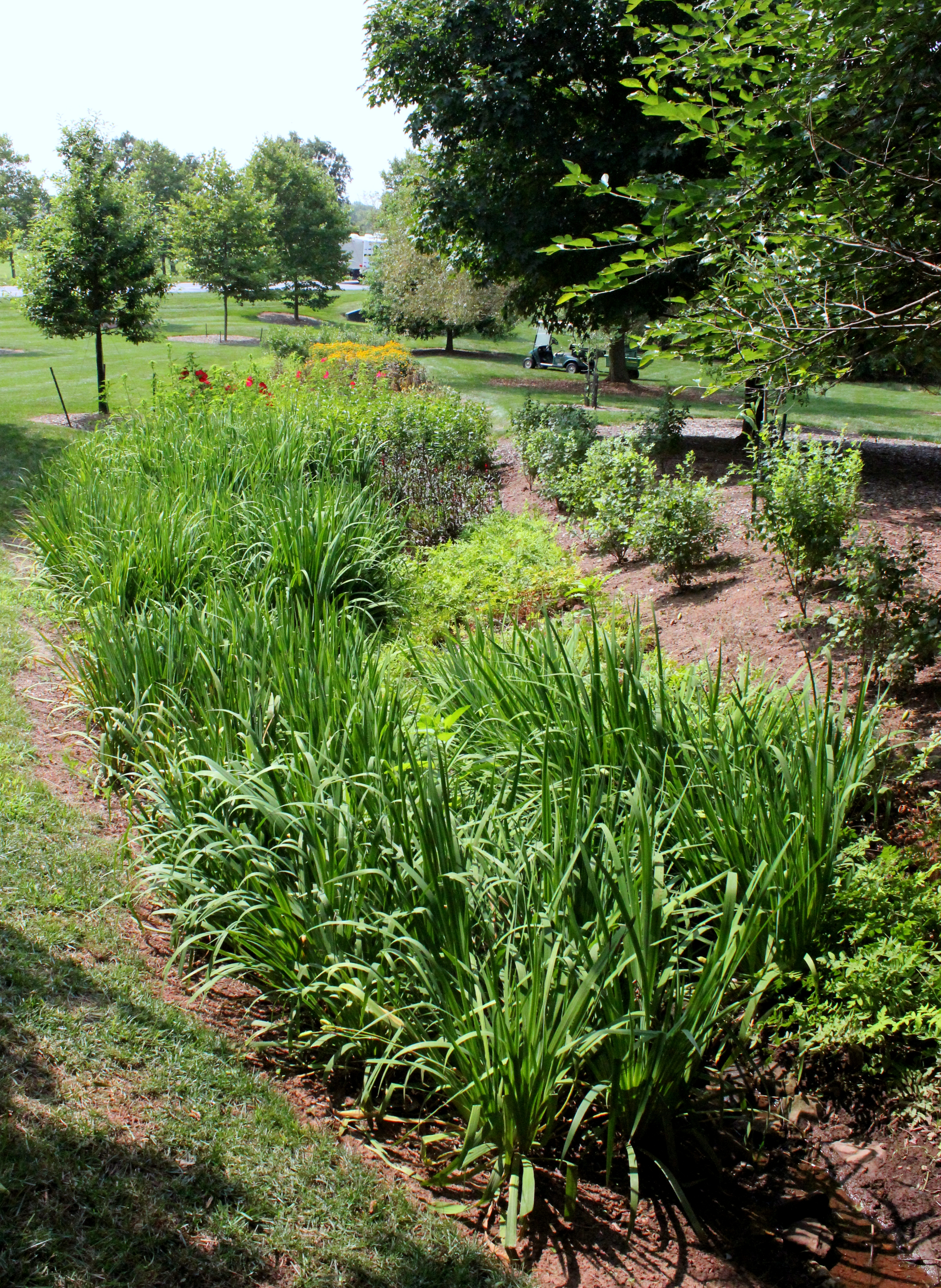 Dry stream bed: after 2