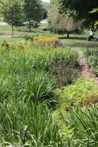 Dry stream bed: after 4